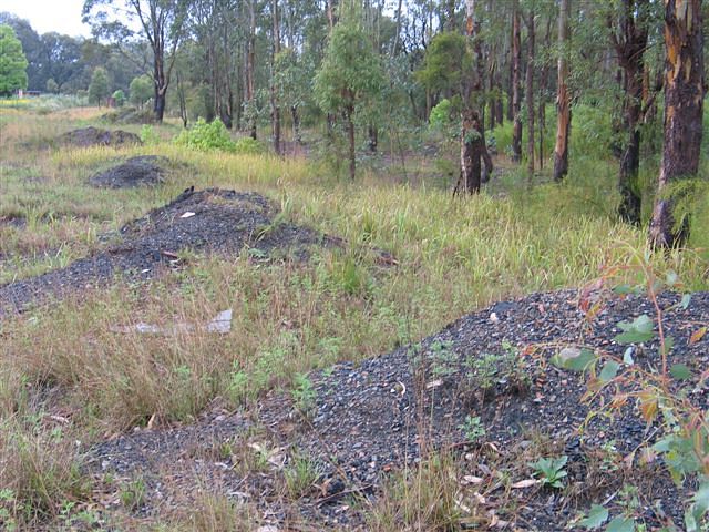 
The location of the one-time goods shed at Abermain.
