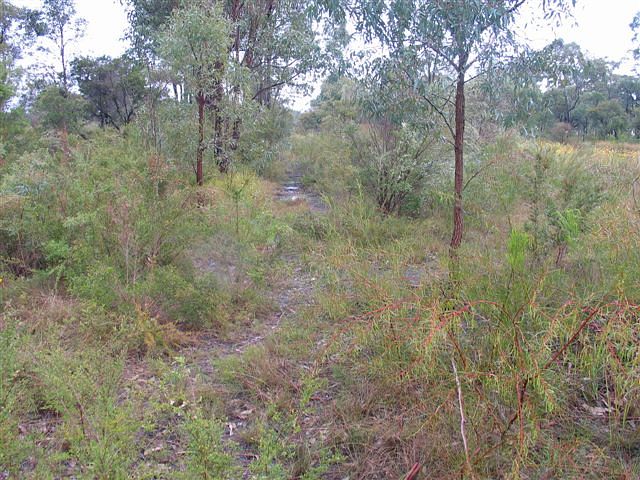 
All that remains of the junction and start of the Abermain Railway
Branch can be seen as a faint track through the undergrowth directly
adjacent to the jib crane.
