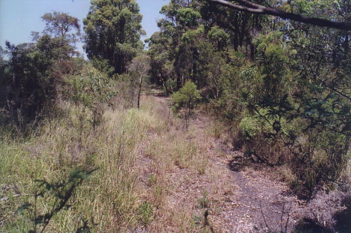 
The formation is barely visible among the trees as it nears the site of the
one-time colliery.
