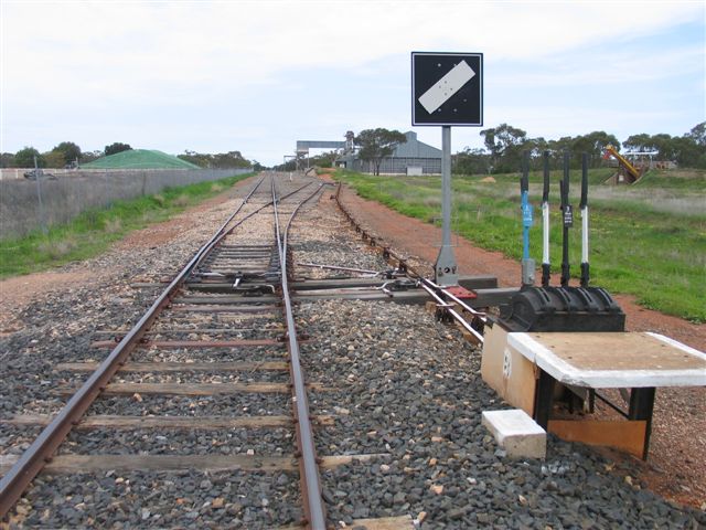 The view looking south from the northern end of the yard.