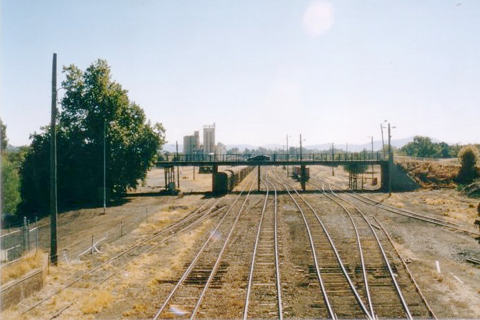 The view looking towards the northern end of the yard.