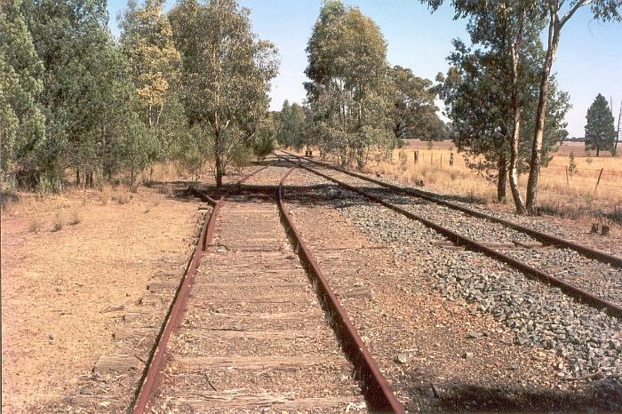 
The view looking towards the down end of the stockyard siding.
