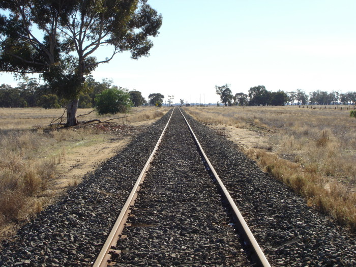 The view looking north through the one-time location.  The station was on the right of the track, with several sidings on the left..