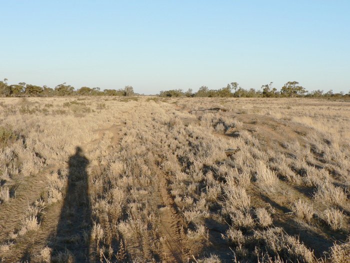 The view looking east along the formation.