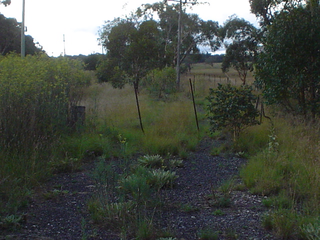 The view looking along the formation towards the cement works, at Medway Road.