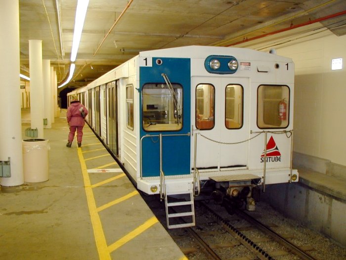 A view of a train stopped at Blue Cow station.