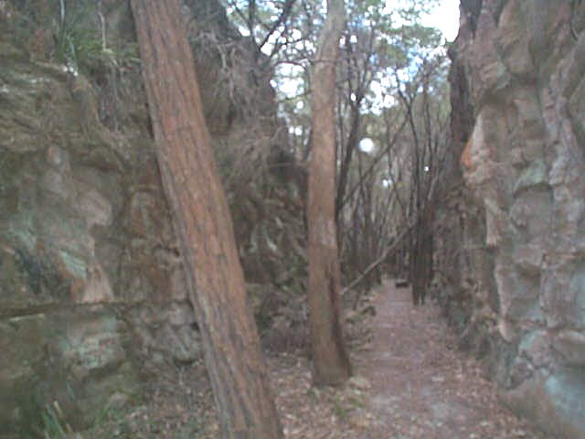 
One of the impressive cuttings along the line to the colliery.
