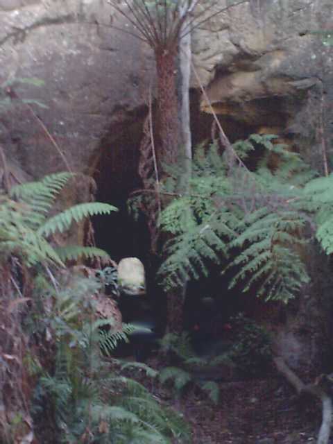 
The northern portal of the tunnel.
