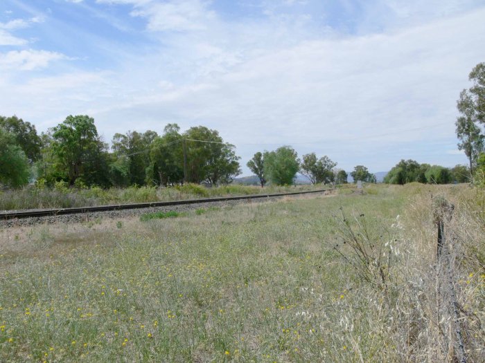 The view looking up the line in the vicinity of the station.