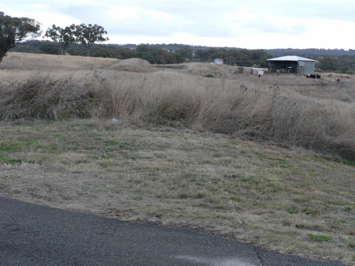 The view looking up the line. The station was believed to be located on the right in the foreground.