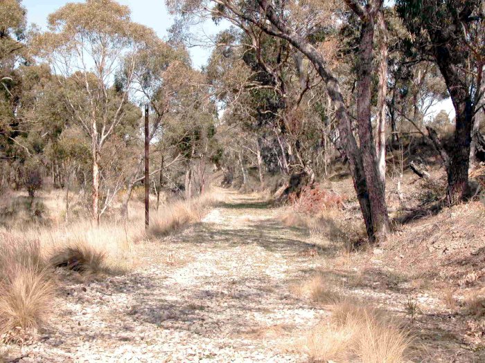 The formation is all that remains of the track in the vicinity.