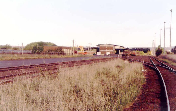 A view looking across the yard.