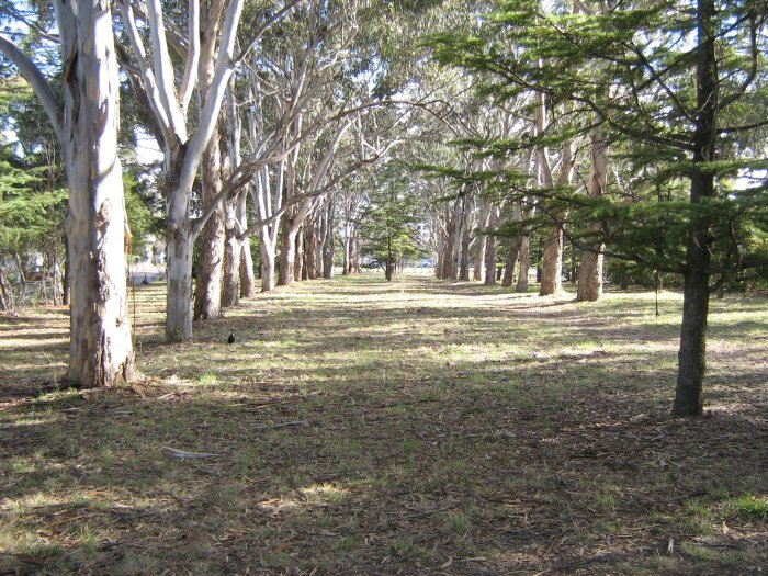 The view looking along the formation of the line at it approached the terminus at Civic.