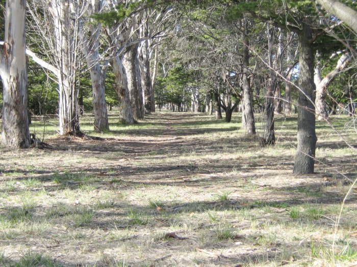 The view looking along the formation of the line at it approached the terminus at Civic.