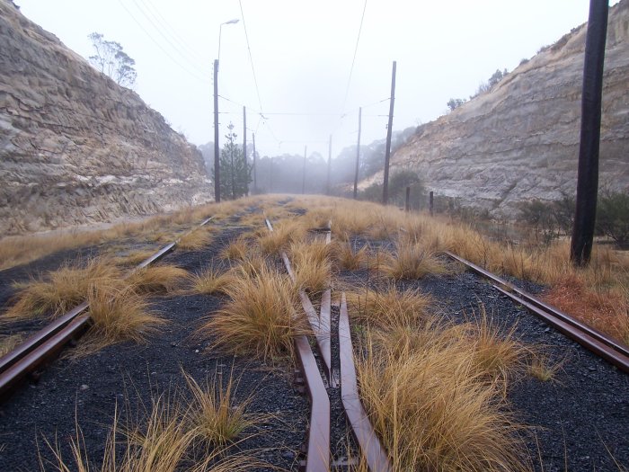 The branch line passes through a deep cutting.