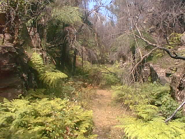 The remains of the old alignment in the vicinity of Cawley.