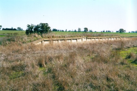 
The relatively short platform at Collingullie.
