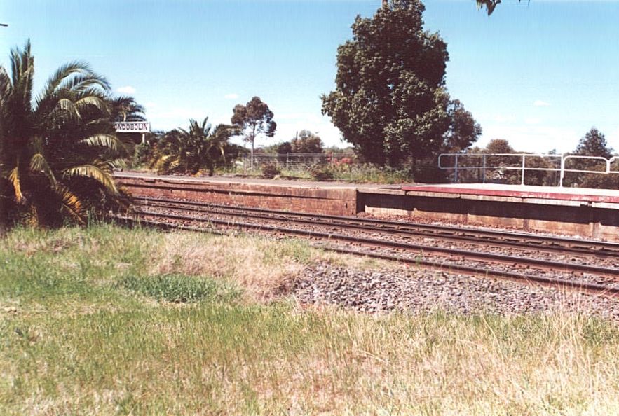 
The name board pokes out from behind some of the local vegetation.
