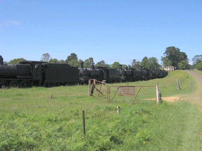 A closer view of some of the locomotives in the yard.