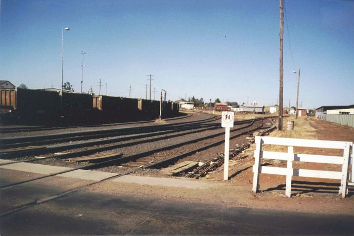 
Fitzroy Street crossing looking east.  The line turning to the left heads
off to Gilgandra and Merrygoen/Werris Creek.  The line to the right heads
off to Sydney and the siding that remains of the truncated Molong branch.
The line in the middle, is the approach to the sleeper mill, which appeared
to be somewhat lacking in sleepers at the time.
