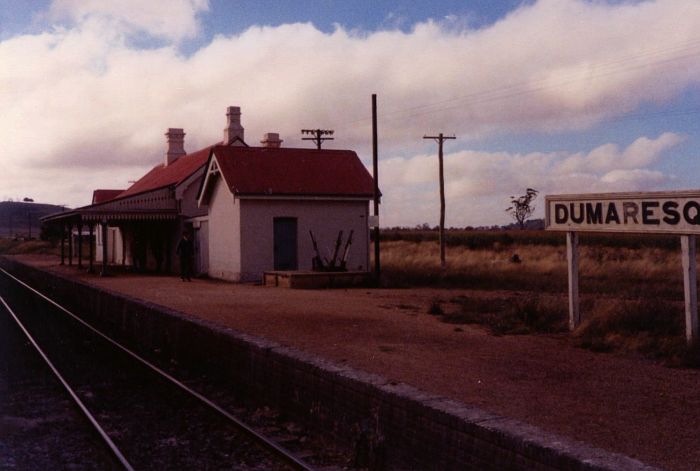 
The view along the station, looking back towards Sydney.
