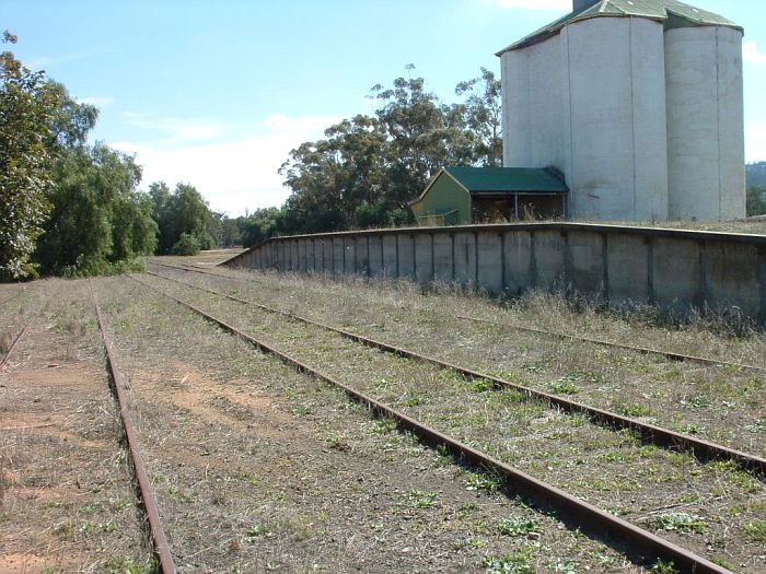 
The view looing west from the station towards the terminus, which is just
beyond the trees.
