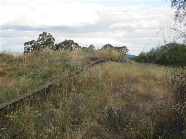 The overgrown goods loading bank.