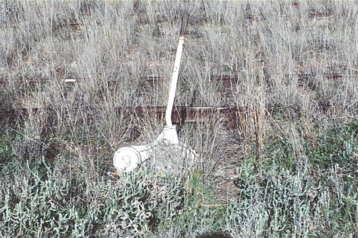 
A points lever lurking among unusual vegetation indicative of the fact
that this location is a long way out west.
