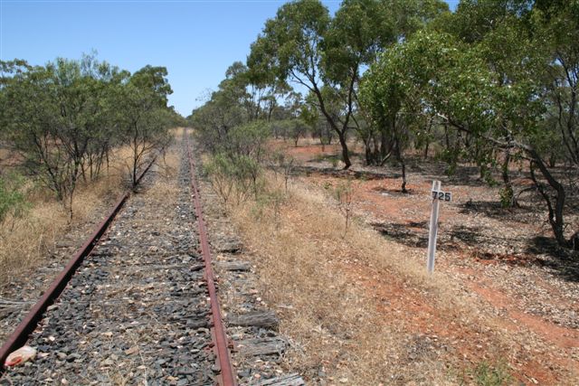 The view looking back towards Nyngan.