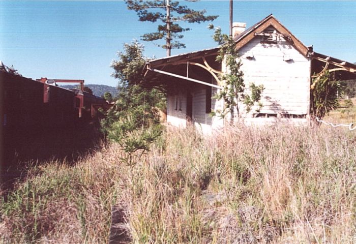 
The view looking north along the branch line side of the overgrown station.
