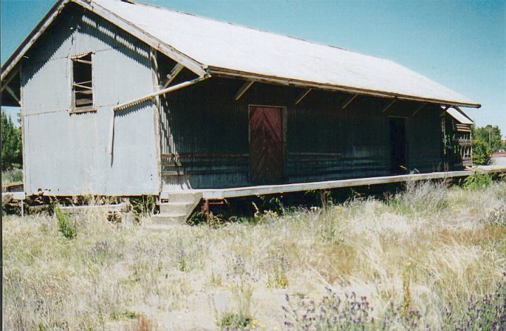 
A view of the goods shed in the overgrown yard.
