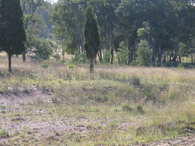 
The mound which may be the only remains of the station.
