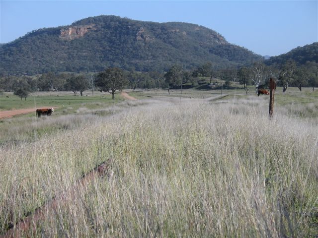 
The view looking up the line towards Sandy Hollow.
