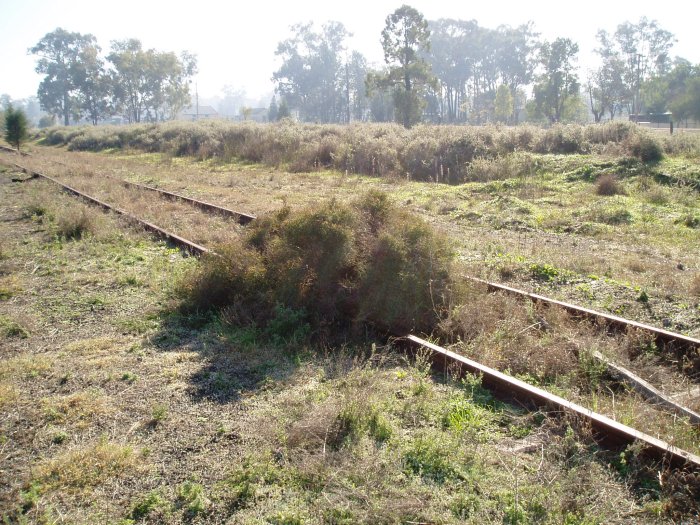 The remains of the Timber Siding, looking north.