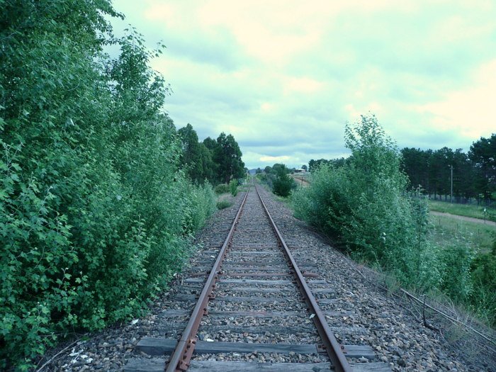 The view looking south, with no trace remaining.