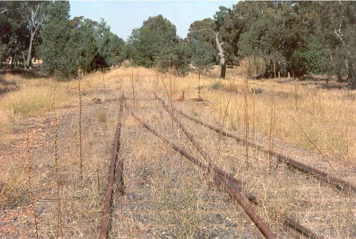 
The view of looking towards Corowa from the down end of the yard.
