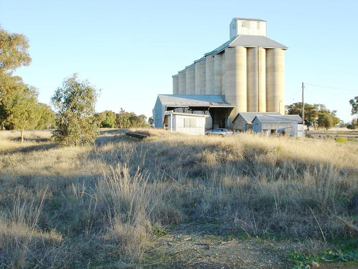 The view looking towards Corowa of the overgrown station remains.