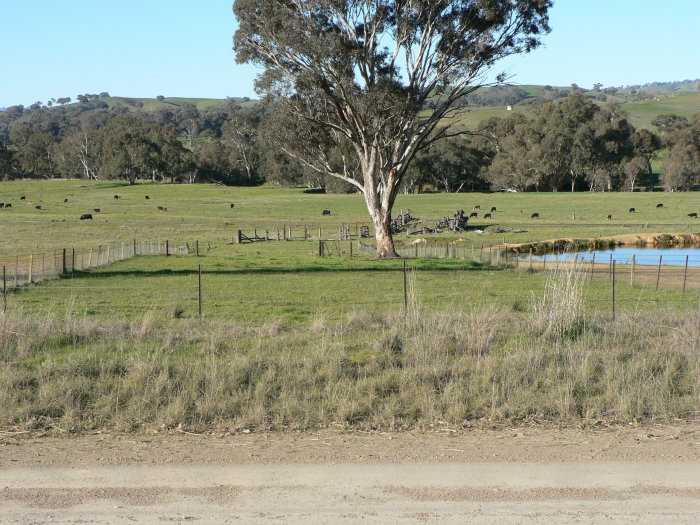 The view looking down over the former stock yards.  The turning triangle would have occupied the field on the left beyond the fence.