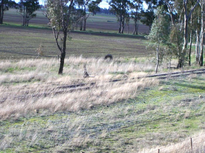 The points and lever at the up end of the loop siding.