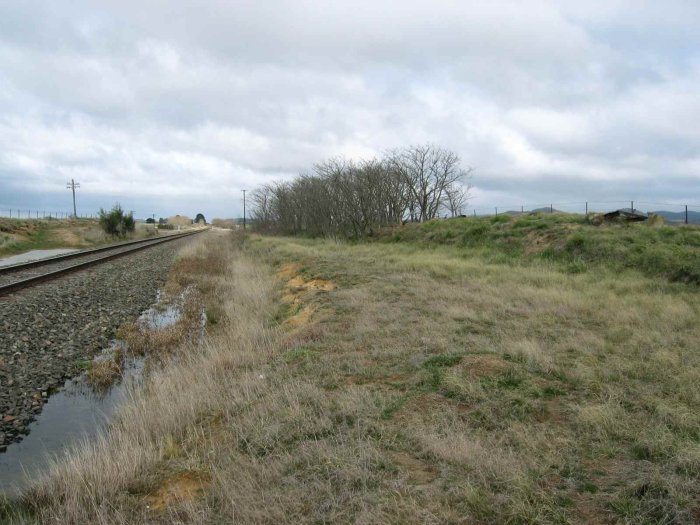 The view looking along the possible remains of a platform.