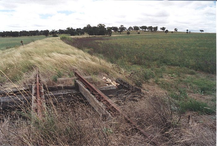 
The view of the overgrown formation looking away from the junction
at Craboon.
