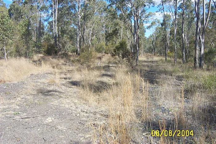 
All that remains of the junction is the formation.  The branch to the
Cessnock No 1 Colliery is on the left, with the cleared area on the right
leading to the rest of the collieries in the line.
