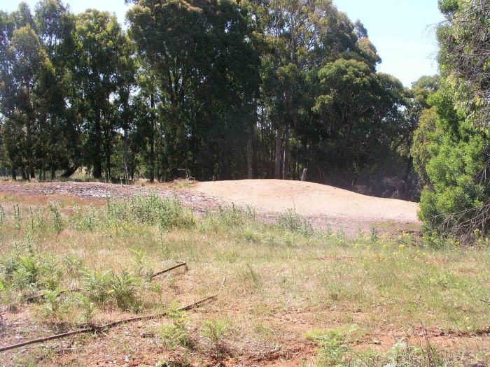 
A sawdust pile from the old sawmill, viewed from the possible goods loading
bank.
