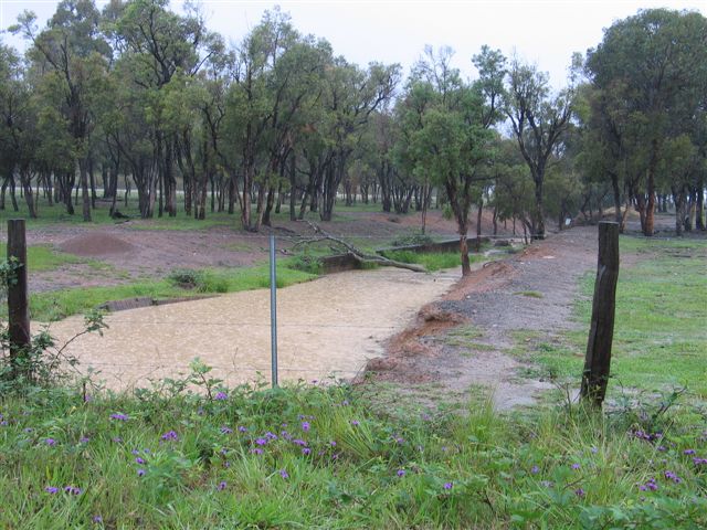 
The remains of Kurri Road platform, looking towards Stanford Methyr.
