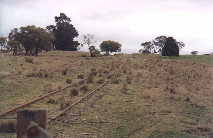 
The one-time location of McAlister platform is in the distance under the
trees.
