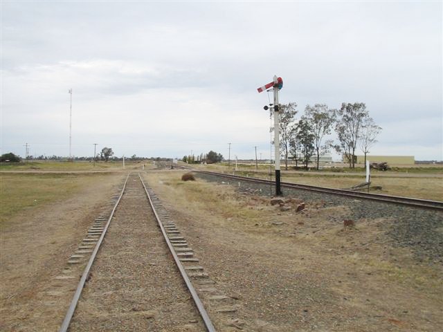 The view looking along the wheat siding towards Narrabri.