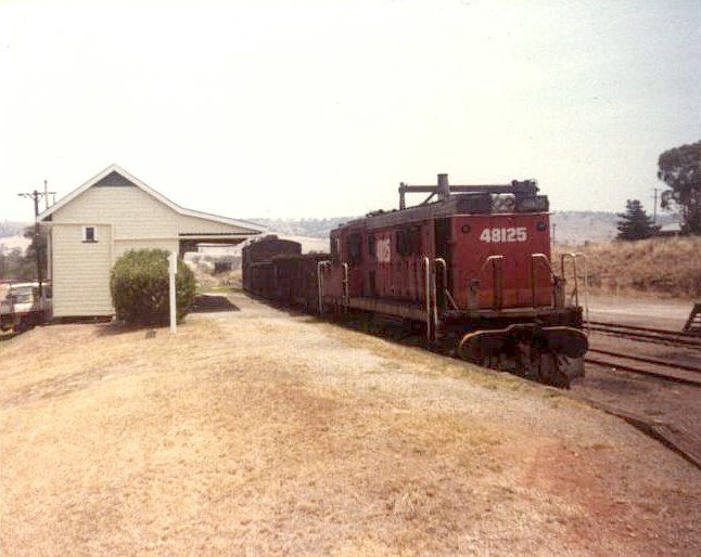 48125 at the head of a short goods train sits in the station.