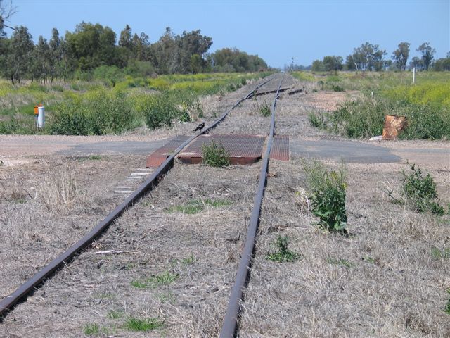 
The view looking south from Merrywinebone.  The siding in the distance in
the Namoi Cotton Co-op siding.
