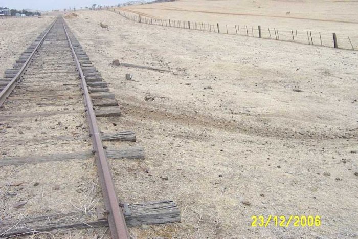 The drought has scoured the land and revealed the stumps of the wooden platform, looking towards Coolac. The stumps are on the same side as Pettitts and conform to the same type of wooden platform.