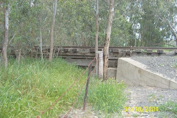 
Before you enter the station yard from Grenfell the line crossed a low lying
area which was spanned by a wooden bridge, still in good shape.
